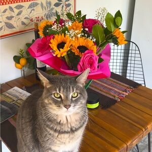 Meet your Posher, Rae